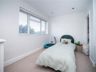 Picture 25